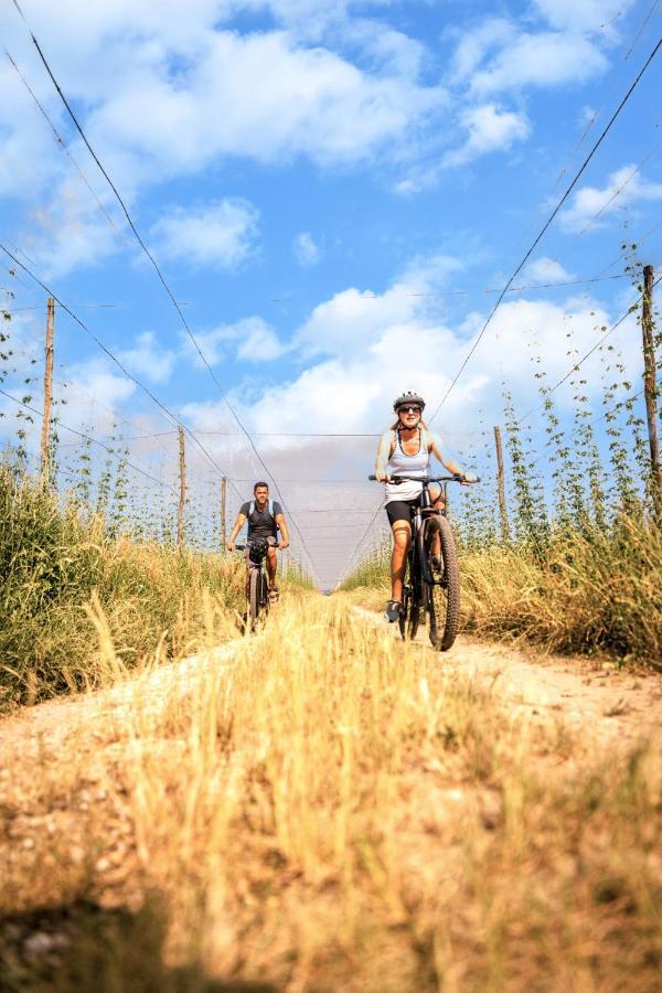 Greenvalleyglamping Sesce Pri Preboldu Exteriör bild