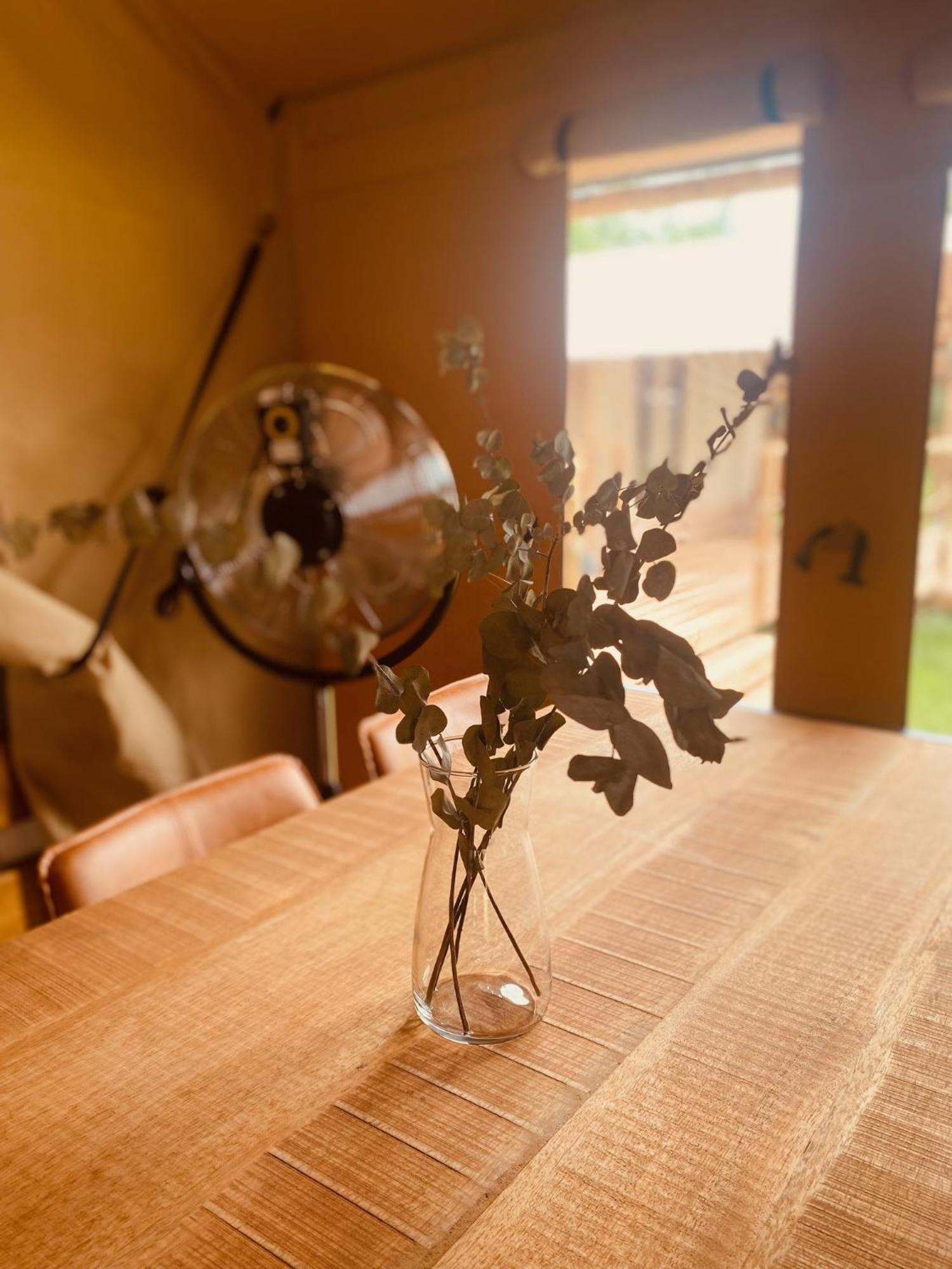 Greenvalleyglamping Sesce Pri Preboldu Exteriör bild