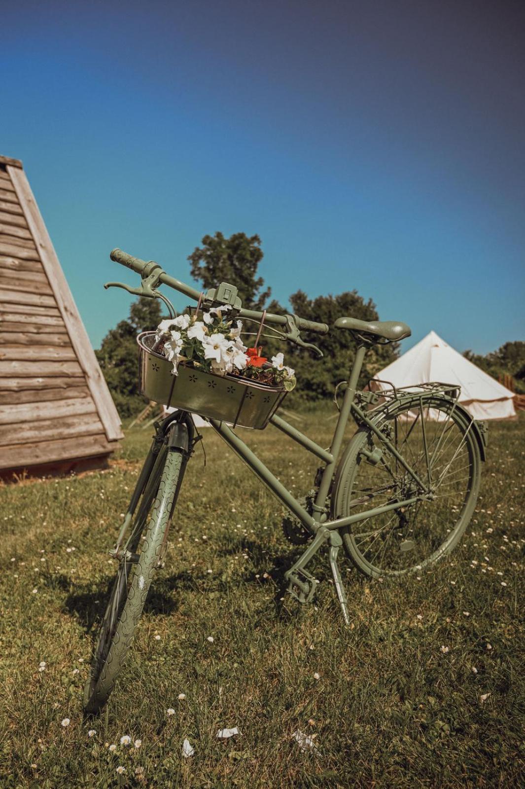 Greenvalleyglamping Sesce Pri Preboldu Exteriör bild